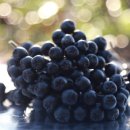 소야농장 이미지