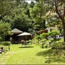 비발디 스케치북 이미지