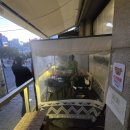 베이직후라이드치킨 이미지