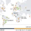 하나글로벌트레이드