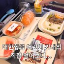 블랙랜드레이스 | 대한항공 어린이 키즈밀예약 준비물 아이랑 장거리비행 후기