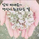명품건강체험 네이버블로그