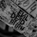 (주)피디큐 이미지