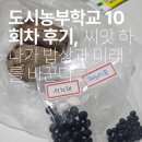 도시농부학교 10회차 후기, 씨앗 하나가 밥상과 미래를 바꾼다