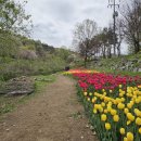 오공공원 이미지