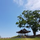 황형택지 이미지