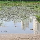 허상과 실상의 공존 이미지