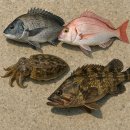 구조라방파제 이미지