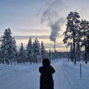 핀란드빌리지 | [신혼여행/핀란드] 노던 라이츠 빌리지 사리셀카 후기 (조식&amp;석식 후기)