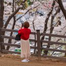 [도로]수원초등학교 앞 이미지