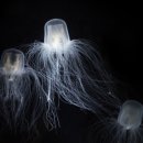 새솔고등학교 이미지