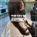 약대동 미용실 리안헤어 신흥사거리점 레이어드C컬펌 추천
