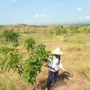 김재명농장 이미지