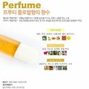 선플라워 이미지