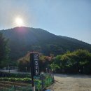 조이원펜션 | 전북 애견동반 펜션 조이원 대형견 맞춤 숙소