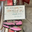 금쪽같은 내새끼 동물병원 이미지