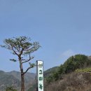 금산-42 | 대전 근교 드라이브 ! 금산 베이커리 카페, 한옥 느낌 대형 카페 추천 [그리녹]