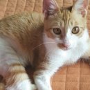 본병원화장실 이미지