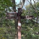 대전둘레산길(4구간) | 대전둘레산길4구간,식장산길