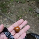 임당근린공원 이미지