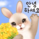김해쭈꾸미본색 주촌점 이미지