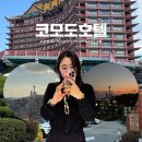 온새미로 | 내돈내산, 부산역 대만족 코모도호텔 부산 후기(조식 포함)