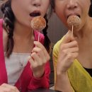 강아지정원 | 모녀여행 속초여행만 N번째! 1박 2일 코스 추천(속초맛집,숙소 정보)