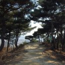 돈달산 이미지