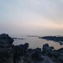 일상의 쉼표 | "나만 알고 싶었는데..." 실패 없는 제주 동서 정복! 에메랄드 빛 함덕 바다와 신비로운 오름 투어...