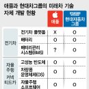 애플카모터스 이미지