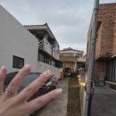 함덕힐 | 또주도 후기 2탄 (with 엄빠)