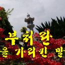 혜안 이미지