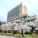 국민대학교 경영대학원 이미지