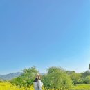 죽전체육공원_M 이미지