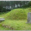 강원장의사 이미지