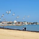 해파랑길 3코스 이미지