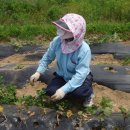 세진농장 이미지