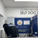 올리스24(세종점) 이미지