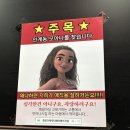 [인계동미용실] 인계동 복구매직 후기 / 더캐릭터 헤어 모아 부원장님 추천 / 히피펌 풀기