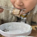 마님생태홍어 이미지