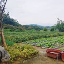 삼가제일부동산공인중개사사무소 이미지