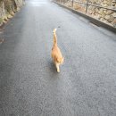 접시꽃민박 이미지