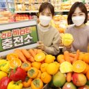 비타민충전소 이미지