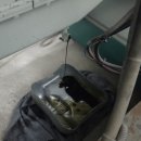 신월동175 이미지