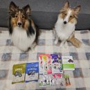 펫인푸드 | 네이버 펫 바우처 앰배서더 3기 포켄스 트릿, 트러스티푸드 할인구매 후기