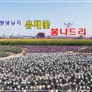 꽃나드리 이미지