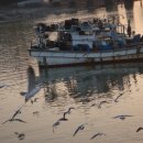 소래포구 이미지