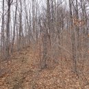 매봉산2 이미지