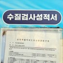 신라샘2 네이버블로그