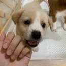 둥이농장 이미지